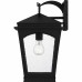 Huck 1-Light Earth Black Outdoor Wall Lantern