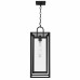 Jayce 1-Light Matte Black Outdoor Hanging Lantern