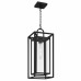 Jayce 1-Light Matte Black Outdoor Hanging Lantern