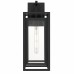 Jayce 1-Light Matte Black Outdoor Wall Lantern