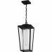 Jett 1-Light Matte Black Outdoor Hanging Lantern