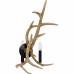 Journey 2-Light Earth Black Wall Sconce