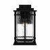 McAlister Outdoor Lantern