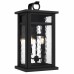 Moira 2-Light Earth Black Outdoor Wall Lantern
