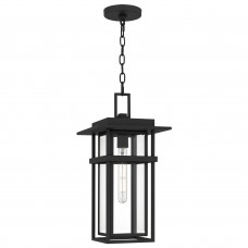 Morgan 1-Light Earth Black Outdoor Hanging Lantern