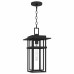 Morgan 1-Light Earth Black Outdoor Hanging Lantern