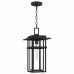 Morgan 1-Light Earth Black Outdoor Hanging Lantern