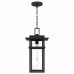 Morgan 1-Light Earth Black Outdoor Hanging Lantern