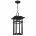 Morgan 1-Light Earth Black Outdoor Hanging Lantern