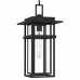 Morgan 1-Light Earth Black Outdoor Hanging Lantern