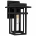 Morgan 1-Light Earth Black Outdoor Wall Lantern