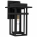Morgan 1-Light Earth Black Outdoor Wall Lantern