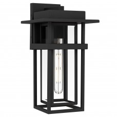 Morgan 1-Light Earth Black Outdoor Wall Lantern