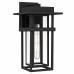 Morgan 1-Light Earth Black Outdoor Wall Lantern