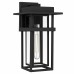 Morgan 1-Light Earth Black Outdoor Wall Lantern