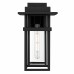 Morgan 1-Light Earth Black Outdoor Wall Lantern