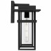 Morgan 1-Light Earth Black Outdoor Wall Lantern