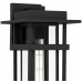 Morgan 1-Light Earth Black Outdoor Wall Lantern