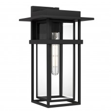 Morgan 1-Light Earth Black Outdoor Wall Lantern