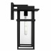 Morgan 1-Light Earth Black Outdoor Wall Lantern
