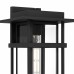 Morgan 1-Light Earth Black Outdoor Wall Lantern