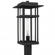 Morgan 1-Light Earth Black Outdoor Hanging Lantern