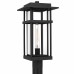 Morgan 1-Light Earth Black Outdoor Hanging Lantern