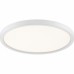 Outskirts Flush Mount