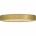 Outskirts Integrated LED Brushed Gold Flush Mount with CCT Switch