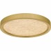 Outskirts Integrated LED Brushed Gold Flush Mount with CCT Switch