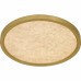 Outskirts Integrated LED Brushed Gold Flush Mount with CCT Switch