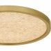 Outskirts Integrated LED Brushed Gold Flush Mount with CCT Switch