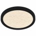 Outskirts Integrated LED Earth Black Flush Mount with CCT Switch