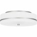 Flush Mount