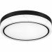 Gasper Matte Black Flush Mount
