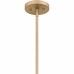 Harte 5-Light Bronze Gold Pendant