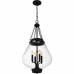 Wallace 4-Light Matte Black Pendant