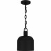 Mini Pendant