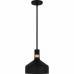 Arbor 1-Light Matte Black Mini Pendant