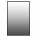 Lockport Mirror