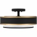 Semi-Flush Mount