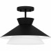 Semi-Flush Mount