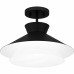 Semi-Flush Mount
