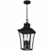 Quentin 4-Light Earth Black Mini Pendant