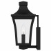 Quentin 1-Light Earth Black Outdoor Wall Lantern