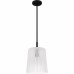 Gray 1-Light Matte Black Mini Pendant