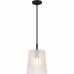 Gray 1-Light Matte Black Mini Pendant