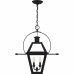 Rue De Royal 2-Light Earth Black Outdoor Hanging Lantern