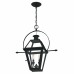 Rue De Royal 2-Light Earth Black Outdoor Hanging Lantern