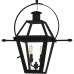 Rue De Royal 2-Light Earth Black Outdoor Hanging Lantern